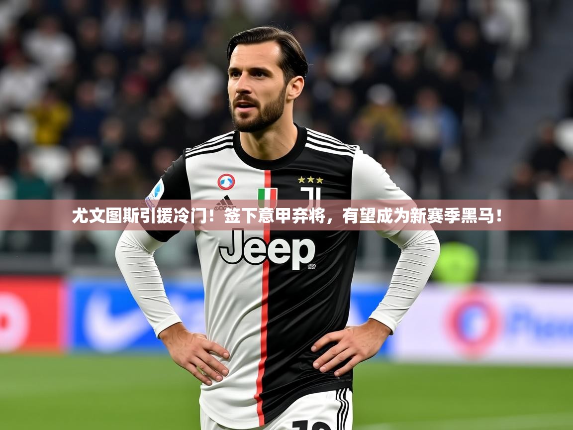 2025爱游戏体育平台官网尤文图斯引援冷门!签下意甲弃将,有望成为新赛季黑马! 第2张