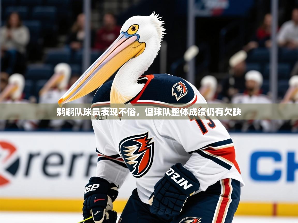 2025爱游戏体育(中国)官方网站鹈鹕队球员表现不俗，但球队整体成绩仍有欠缺  第3张
