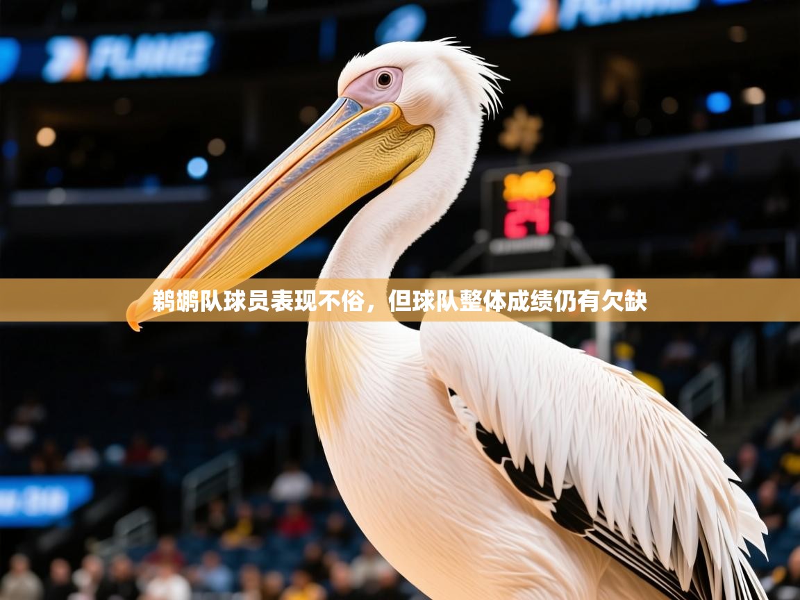 2025爱游戏体育(中国)官方网站鹈鹕队球员表现不俗，但球队整体成绩仍有欠缺  第4张
