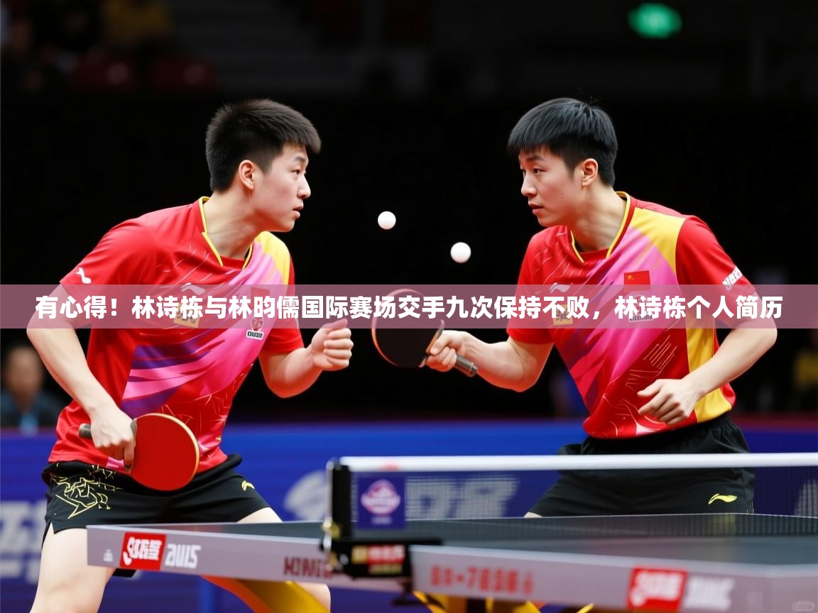 2025爱游戏体育注册教程有心得!林诗栋与林昀儒国际赛场交手九次保持不败,林诗栋个人简历 第3张