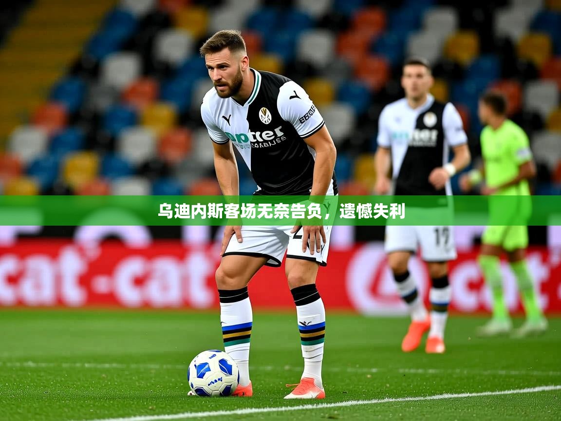 2025爱游戏体育官网网页登录乌迪内斯客场无奈告负，遗憾失利  第4张